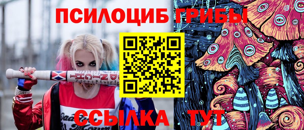 Лабинск  наркотики  Вход с VPN  Псилоцибиновые грибы Magic Shrooms 