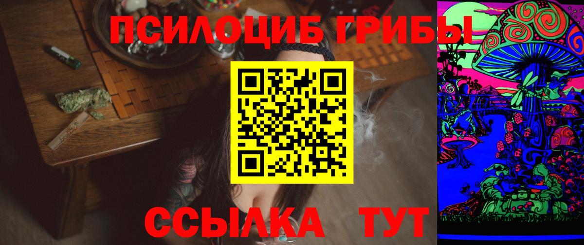 Галлюциногенные грибы Psilocybe Лабинск